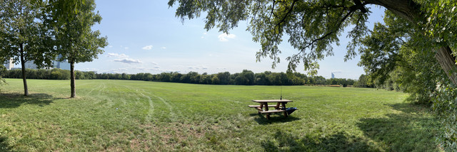 IMG-9127.jpg