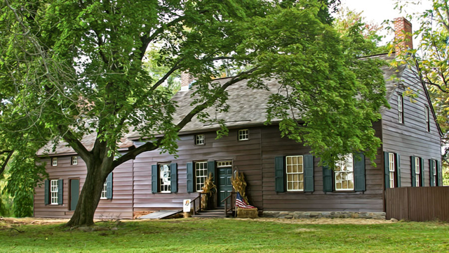 image-7