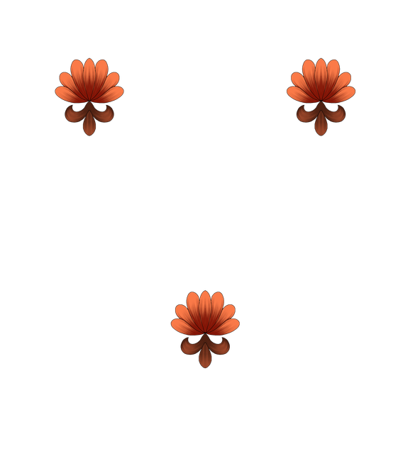 2483d8cb9a3d865ff8a64fc3b5a5f385.png
