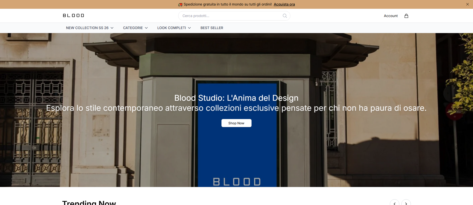 Stored capture of bloodstudiostyle.shop