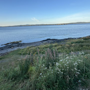 IMG 5895