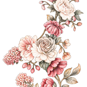 ade99fdf8eae58fdbcd6c166ce4ece1a