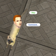 s Go To Bed Dad Im Busy