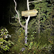 IMG 5650