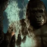 King Kong (1976)5