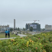 IMG 4356