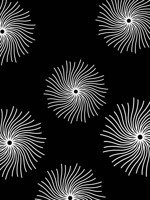 ec7a30c28e3e4854bc9b7b3f65de4b6d.png