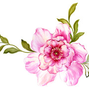 shutterstock 1857679540