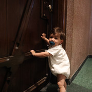 IMG 8225