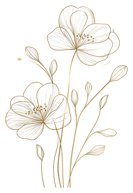 72d44a6184fceb880ff35c8a383c8b62.png