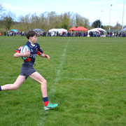 DSC 0387