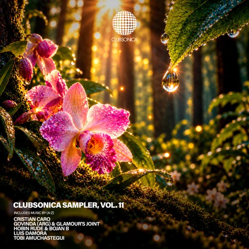 VA – Clubsonica Sampler, Vol. 11 [CLUBSONICASP011]