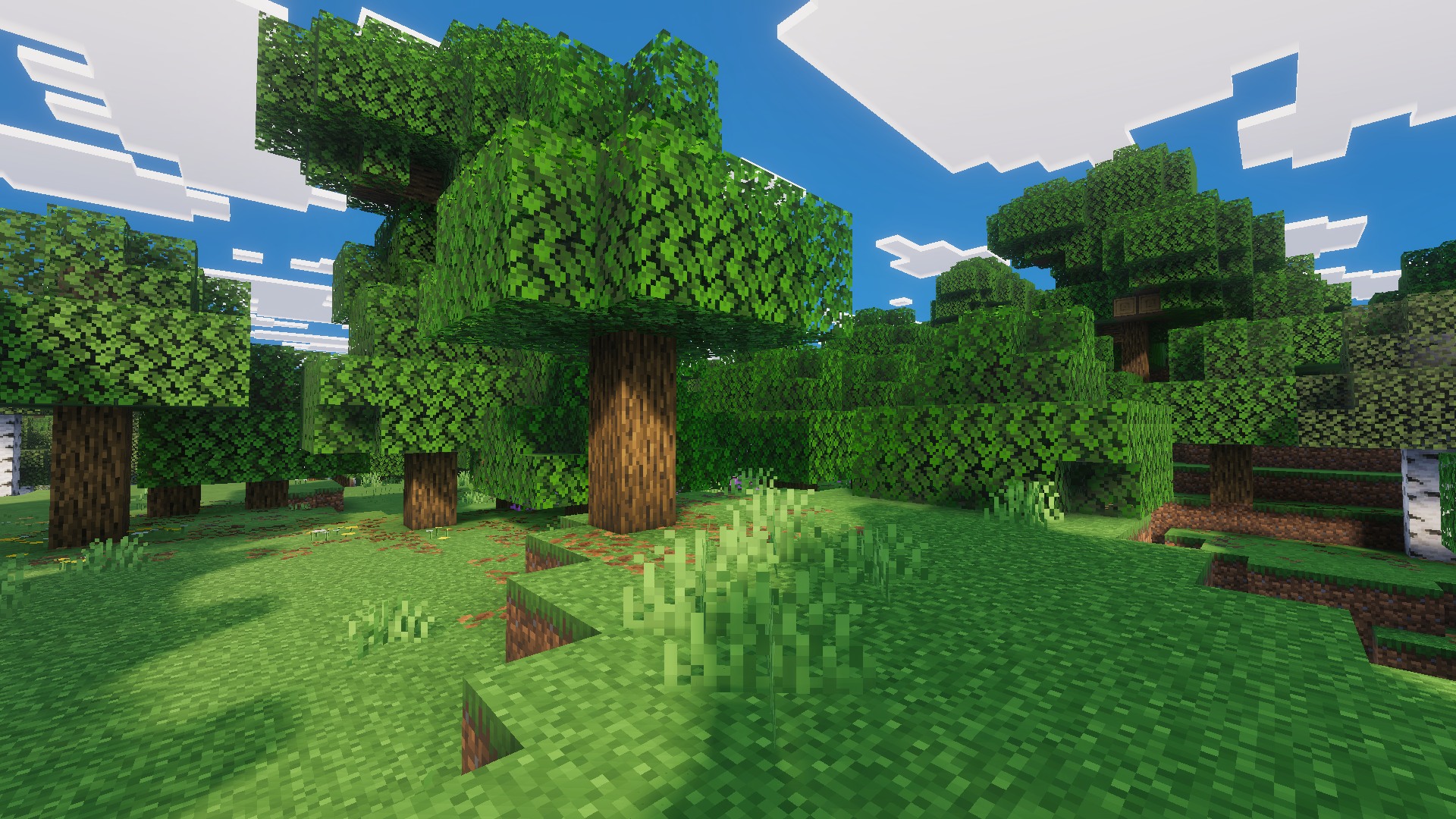 preview8