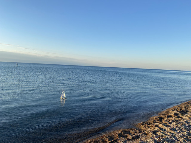IMG 0366.jpg