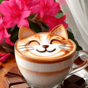 5c80f2a53b5111f1a4dadeccfd6ef0ef.gif