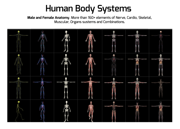 Medical Constructor - 3