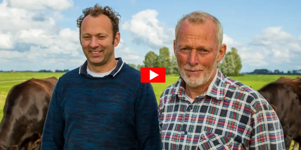 Wagyuvleespakket, met liefde en aandacht gehouden door boer Geert & Jitze - Bestel rechtstreeks bij de boer - Vleeskopenbijdeboer.nl