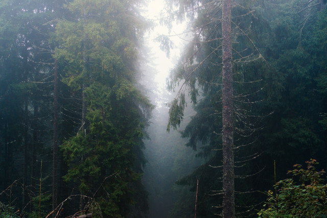 DSCF8408 копия