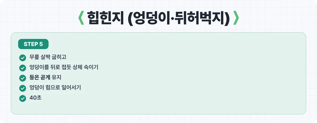 홈트 5단계 힙힌지 카드