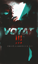 vot.png