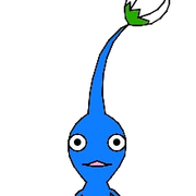 bluebud