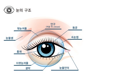 가계부채 1,800조 시대, 눈 건강과 식비를 동시에 방어하는 생존형 아침 루틴의 재구성 추가 이미지