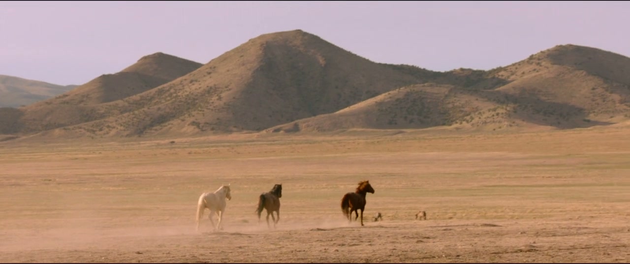 Wild Beauty: Mustang Spirit of the West Screenshot