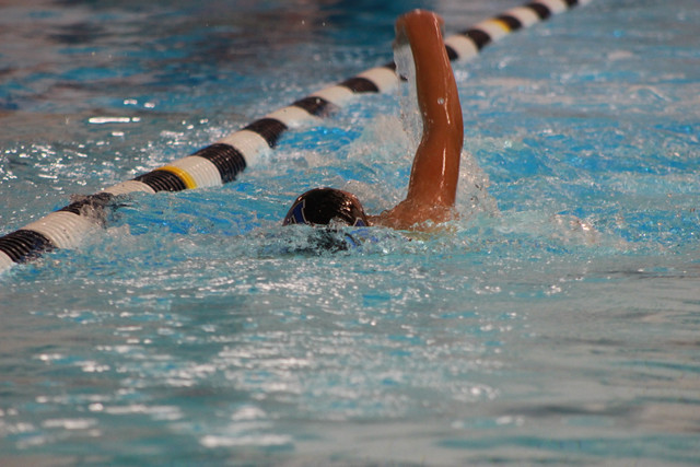 IMG-0446