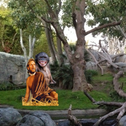 filthy-Ape-Couple