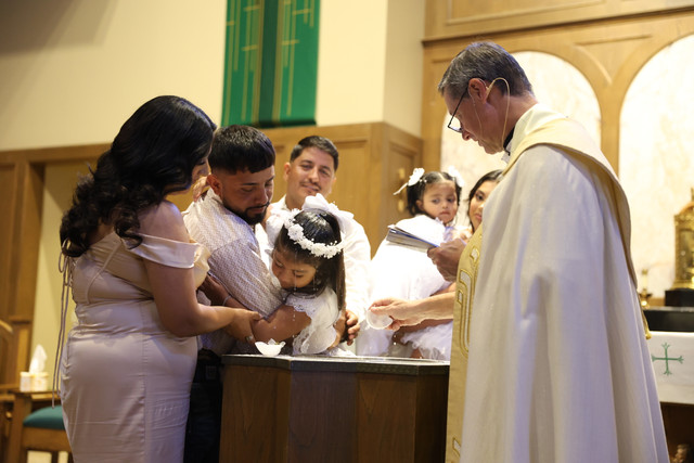 IMG-8790