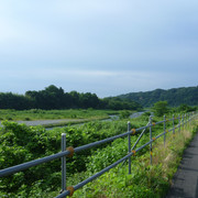 P1320884