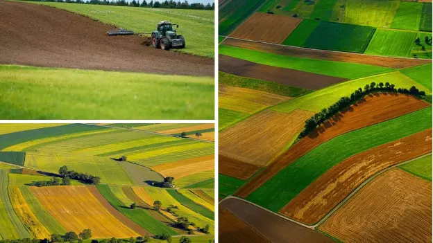 Fermierii din Iași extind afacerile prin achiziționarea de terenuri agricole