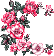 49ccd9215e8100b3d8cb2bfb0bc1bf50