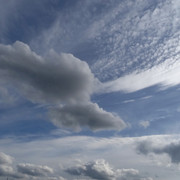 DSC06498-5