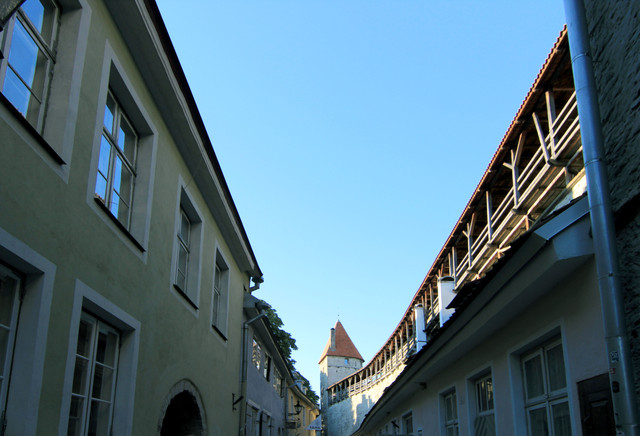 IMG-1308