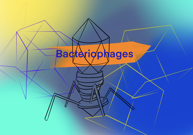 Bacteriophage presentation topic art