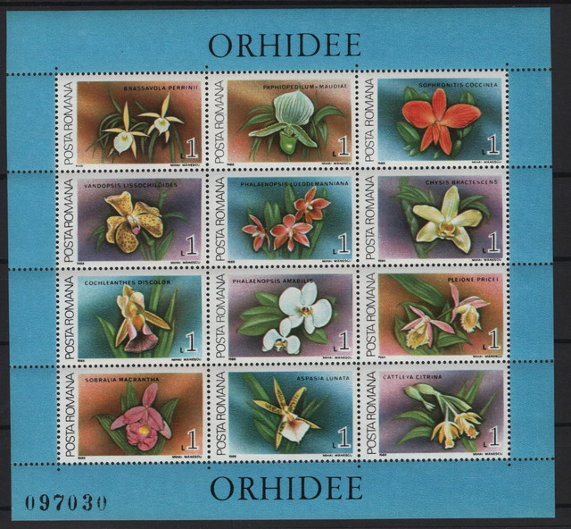 481