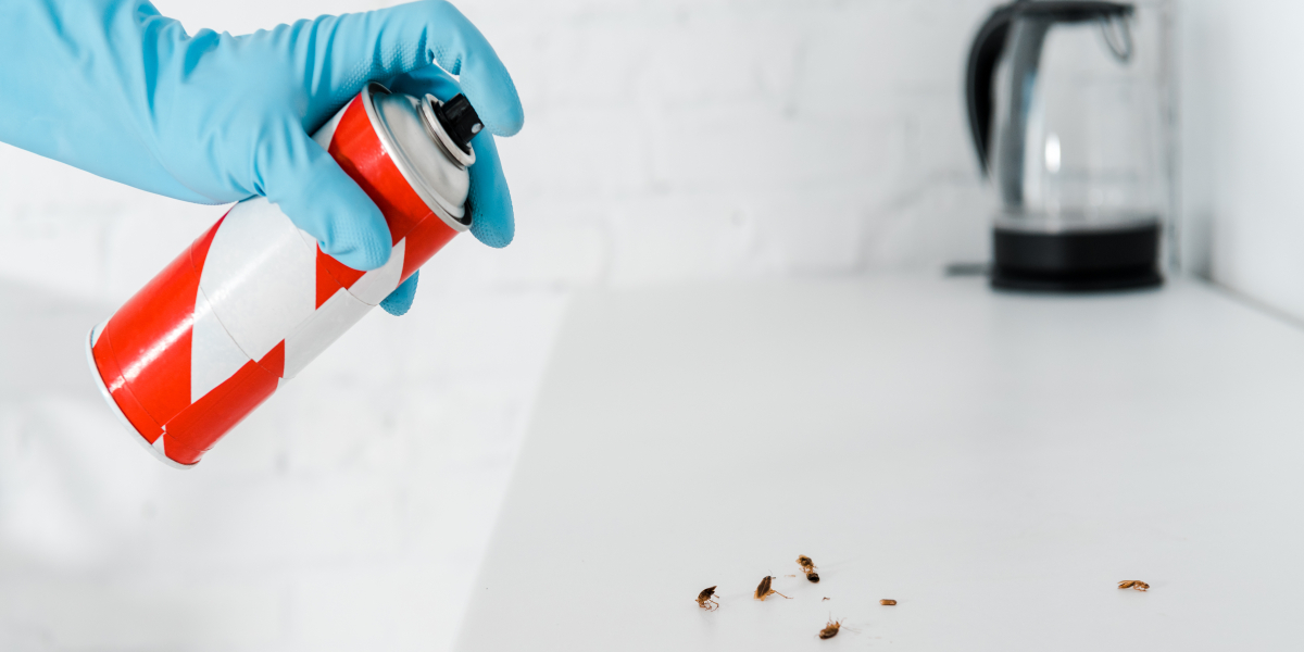 Crawling Insect Control