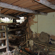 IMG-5905