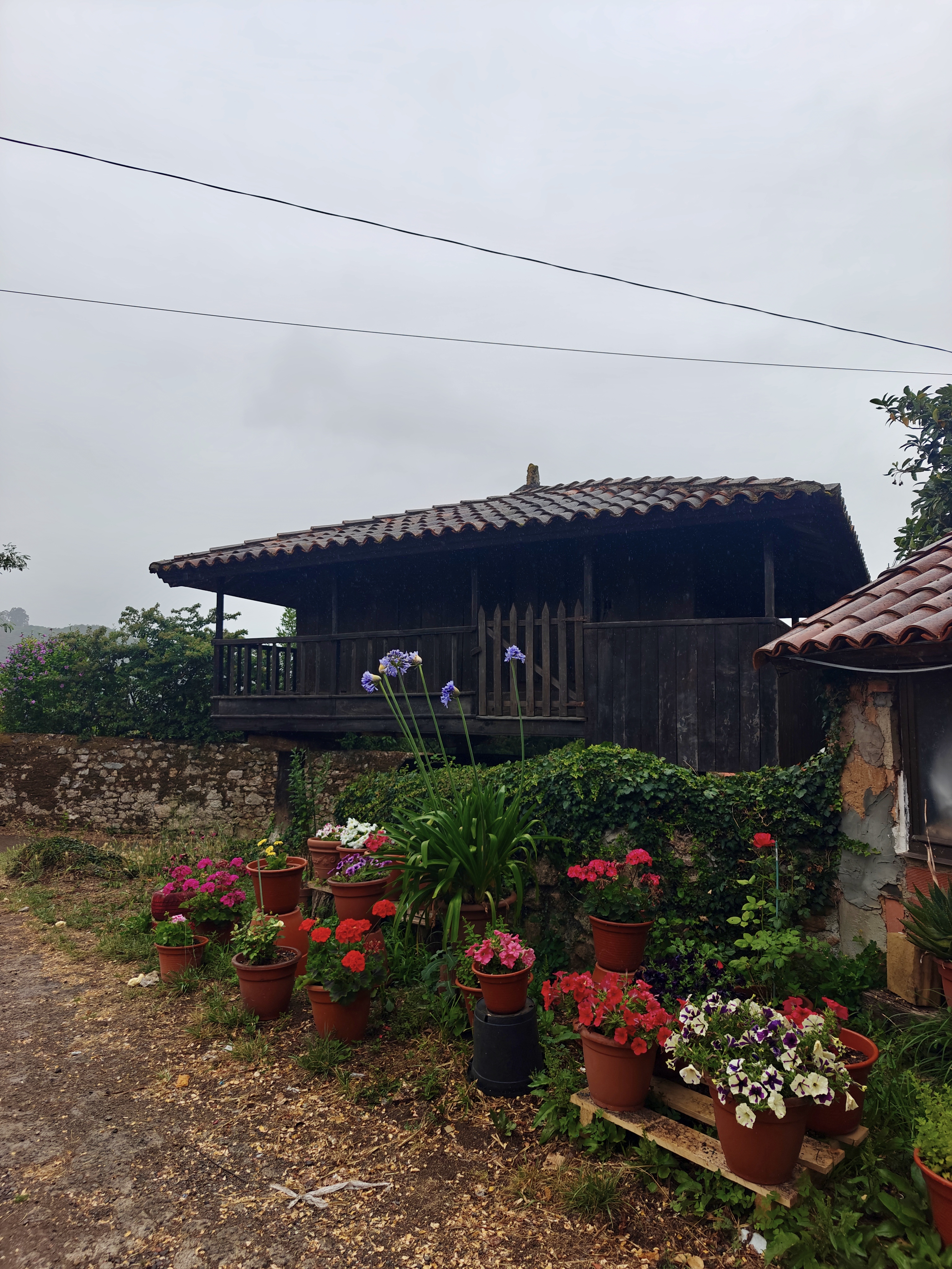 Dag 20 - Oviedo 🥏 San Juan de Villapañada 5
