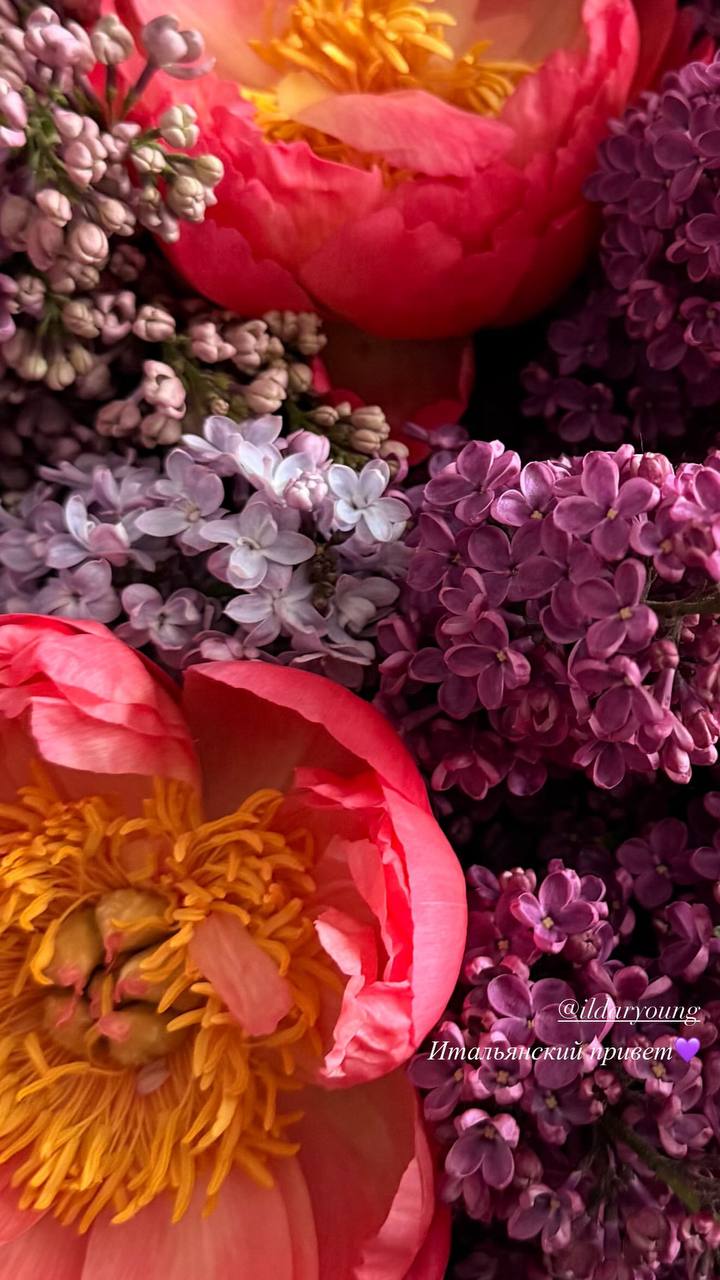 https://i.ibb.co/Y7MJ3rjC/IMG-6433.jpg