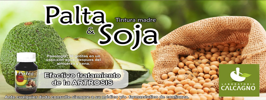 Laboratorio Calcagno