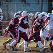 IMG-4469