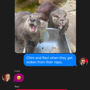 rrrr