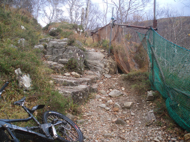PA280708.jpg