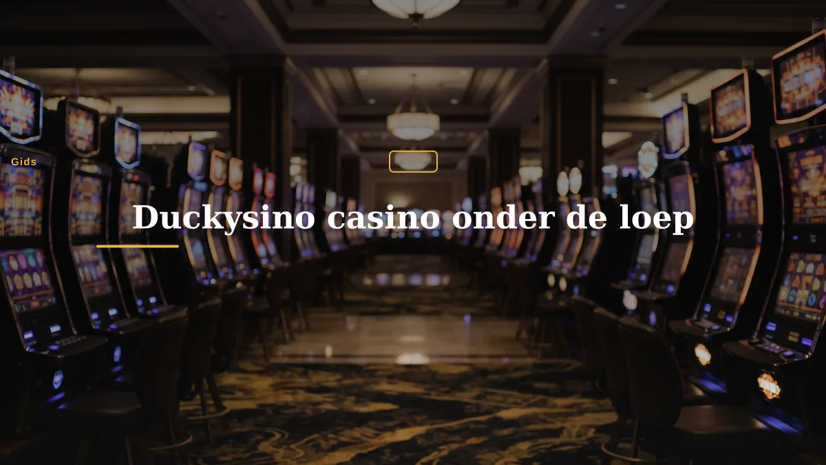 Duckysino casino onder de loep