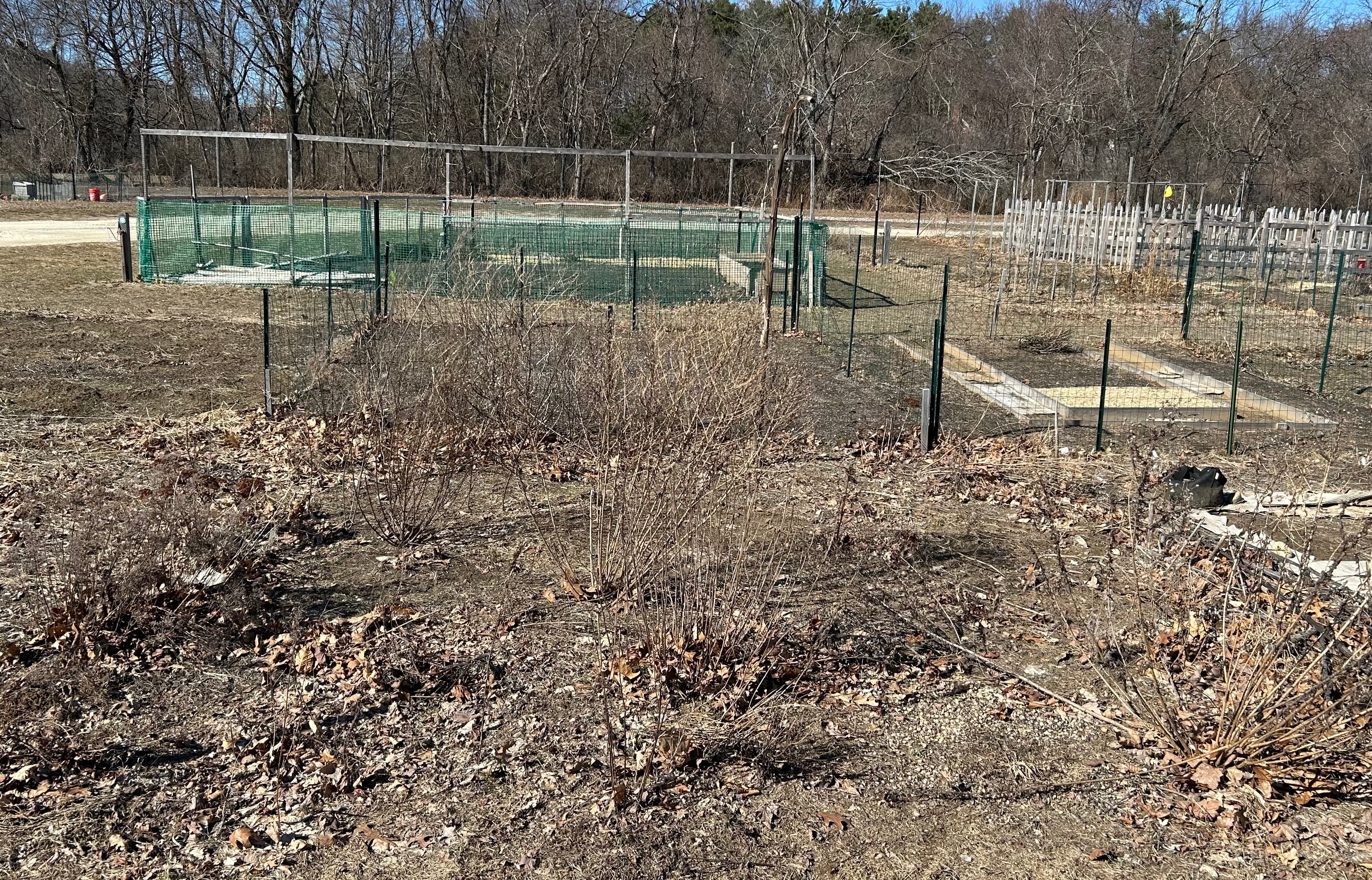 Late winter garden plot