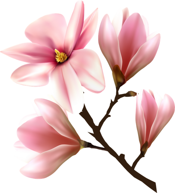 bdf39464a9c4c4b459efbdae88e82fef.png