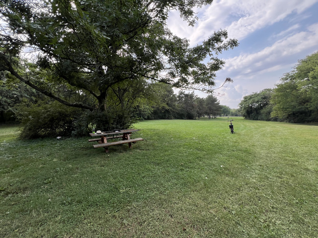 IMG-0410
