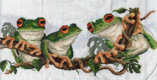 Green Tree Frogs